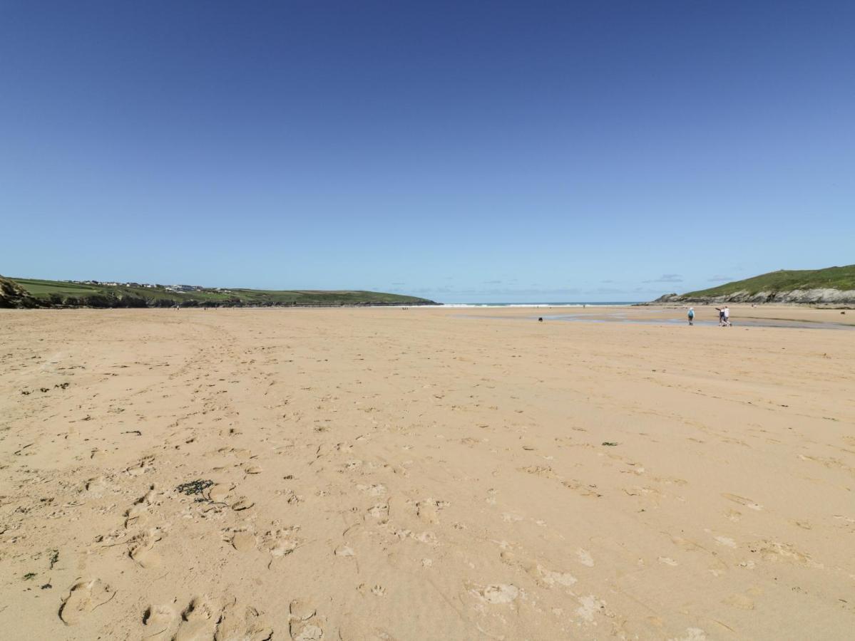 Apartament Crabs And Lobsters New Quay Zewnętrze zdjęcie